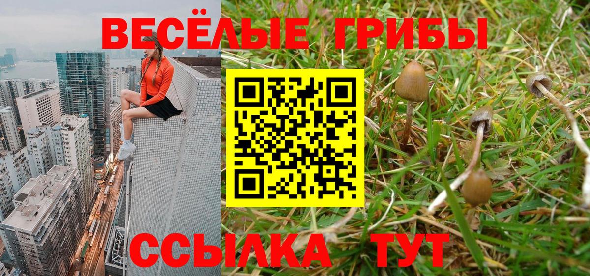 Галлюциногенные грибы мицелий Соль-Илецк