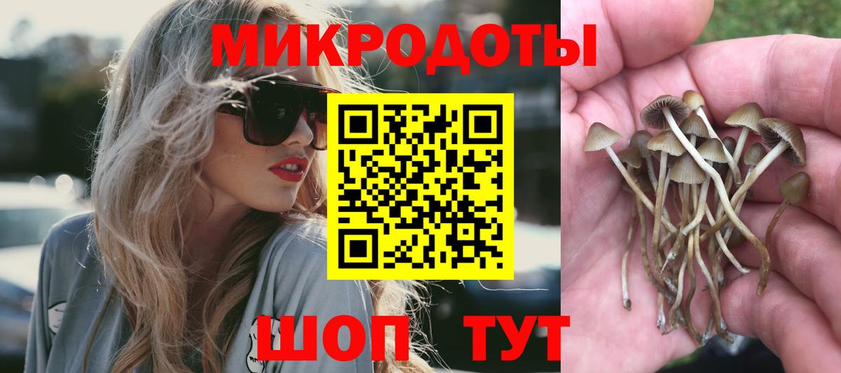 Псилоцибиновые грибы ЛСД  Вход с VPN  Соль-Илецк 